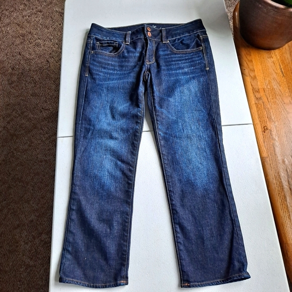 American Eagle Outfitters Denim - American Eagle Artist Denim Jeans